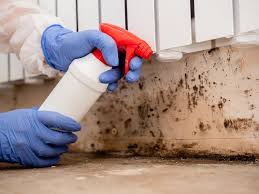 Why You Should Choose Our Mold Remediation Services in Huntington, TX